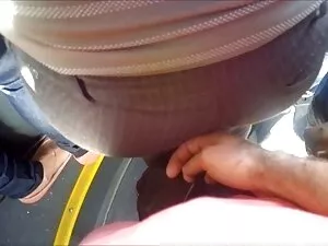 Ռոզա, Հարավային աղջի ...