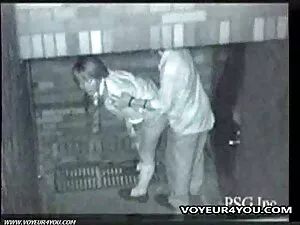 Ծիրանագույն շանը երի ...